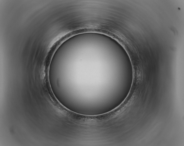X0000113931070200909251214