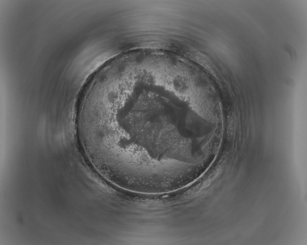X0000113931071200909251214