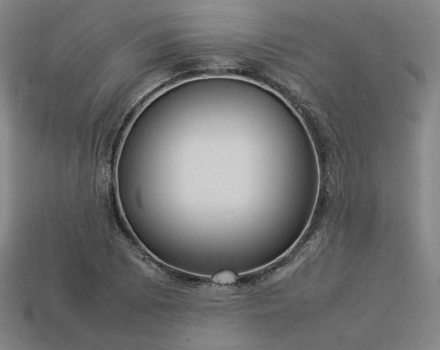 X0000113931073200909251214
