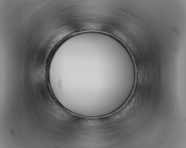 X0000113931074200909251214