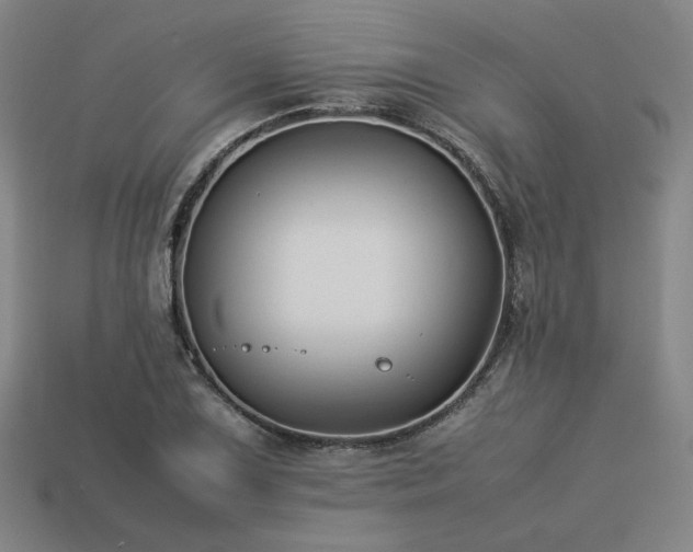 X0000113931075200909251214
