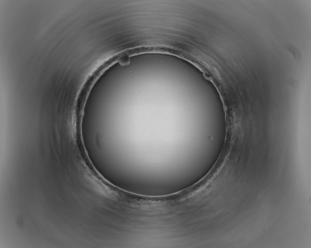 X0000113931076200909251214
