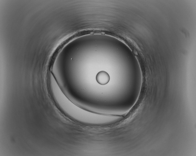 X0000113931077200909251214