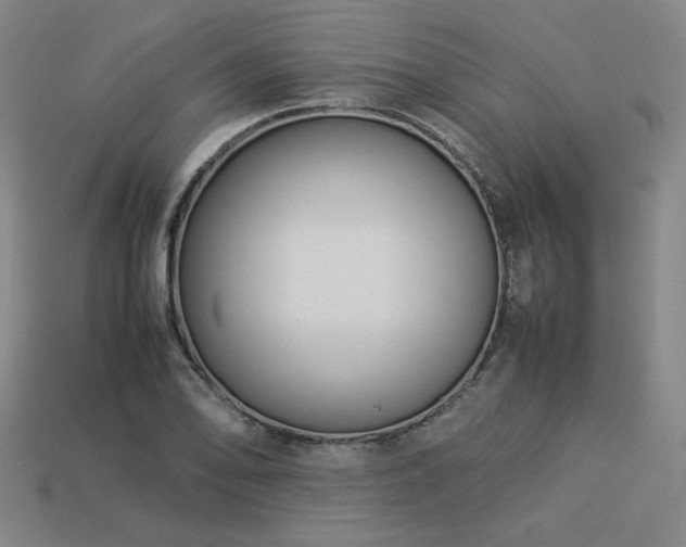 X0000113931078200909251214
