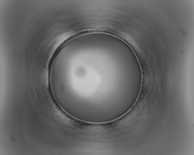 X0000113931079200909251214