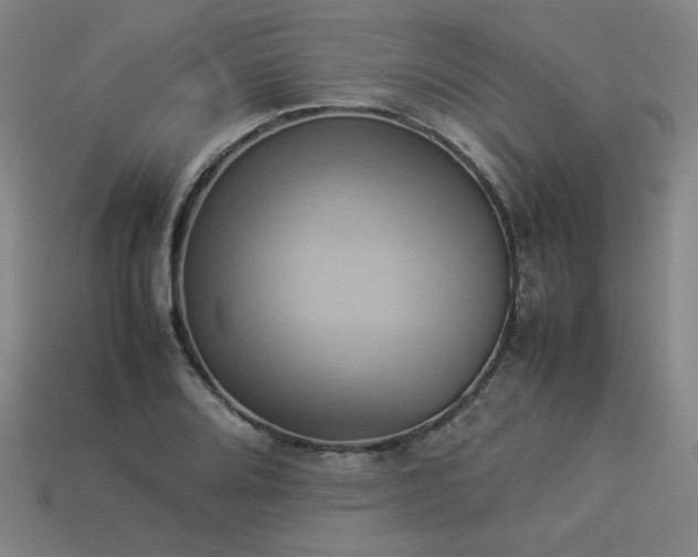 X0000113931080200909251214