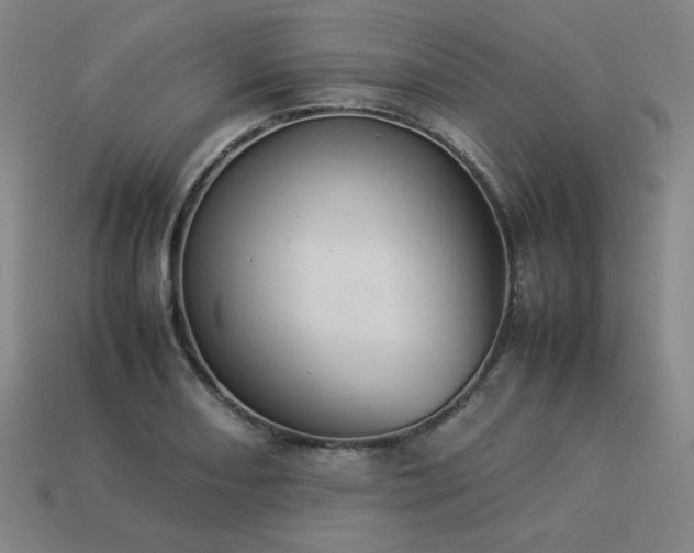 X0000113931082200909251214