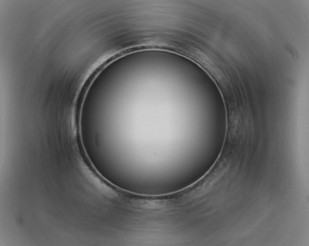 X0000113931084200909251214