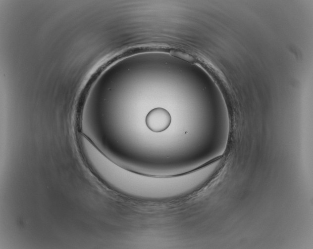 X0000113931085200909251214