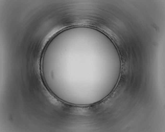 X0000113931086200909251214