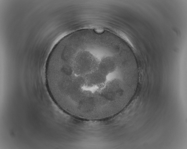 X0000113931087200909251214