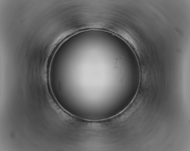 X0000113931088200909251214