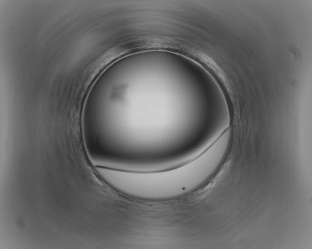 X0000113931089200909251214