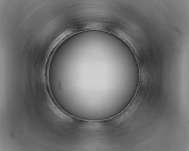 X0000113931090200909251214