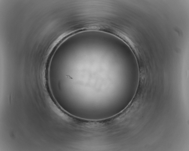 X0000113931091200909251214