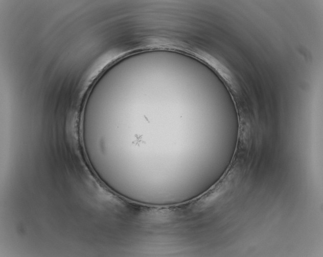 X0000113931094200909251214