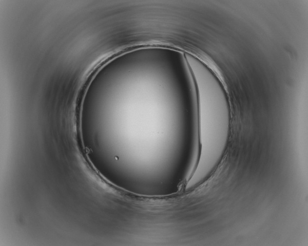 X0000113931096200909251214