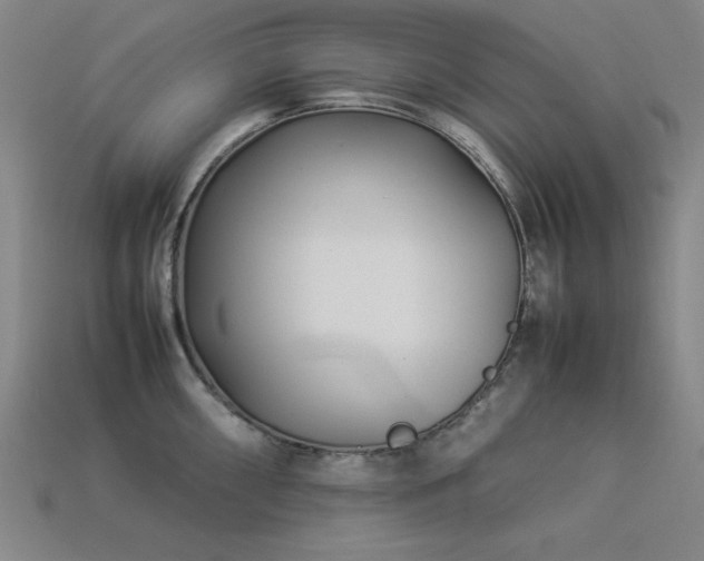 X0000113931098200909251214