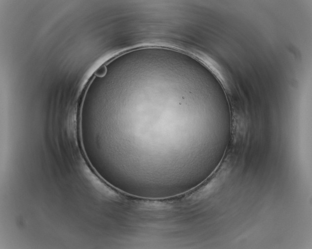 X0000113931100200909251214