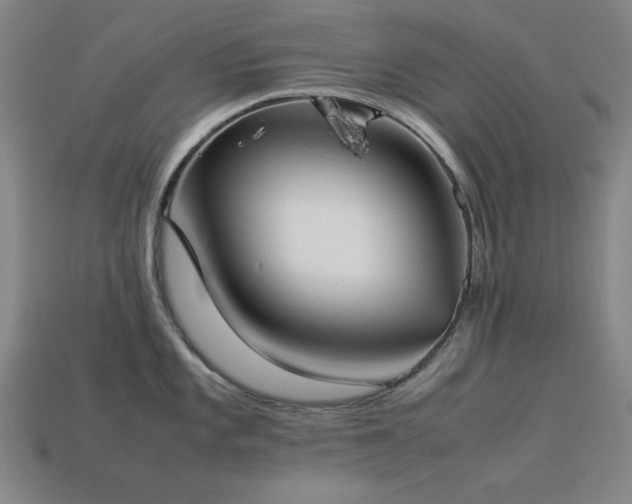 X0000113931101200909251214
