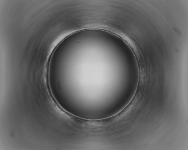 X0000113931102200909251214