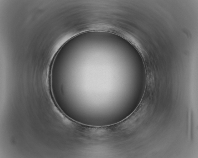 X0000113931103200909251214
