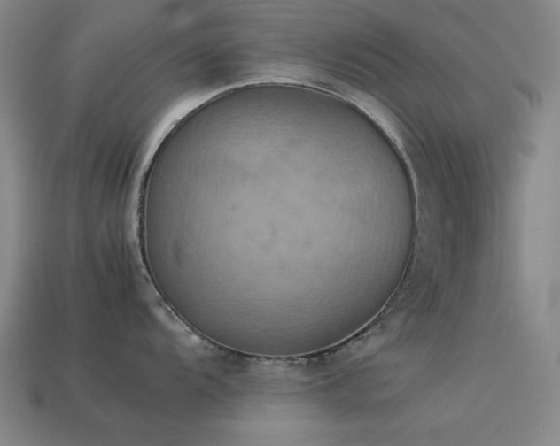 X0000113931104200909251214