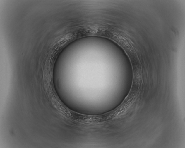 X0000113931105200909251213