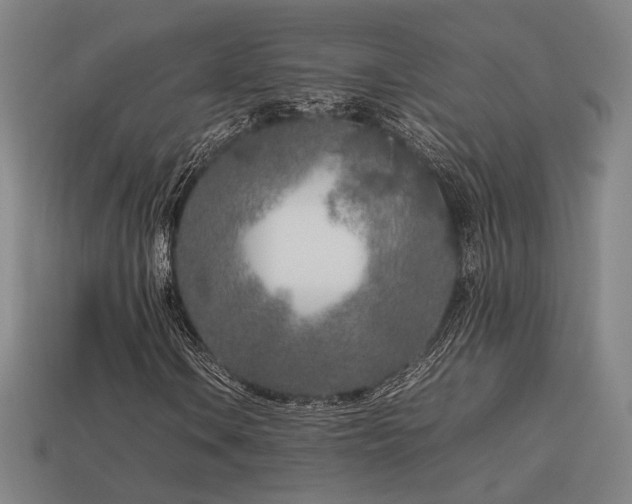 X0000113931106200909251213