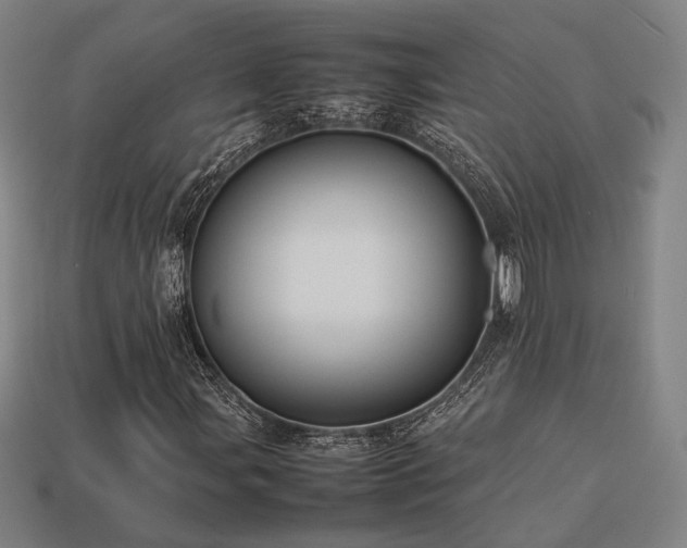 X0000113931107200909251213