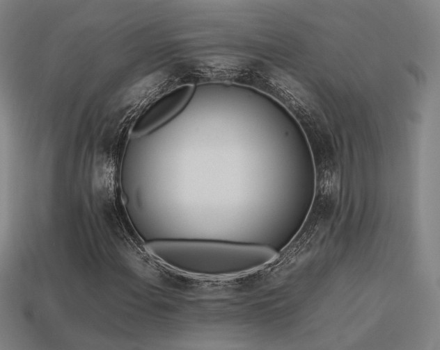 X0000113931108200909251213