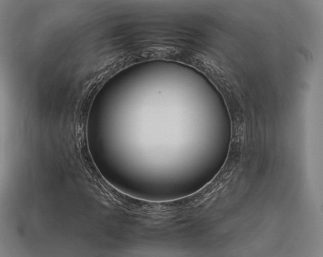 X0000113931109200909251213