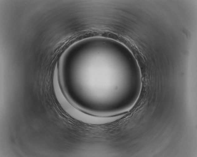 X0000113931110200909251213