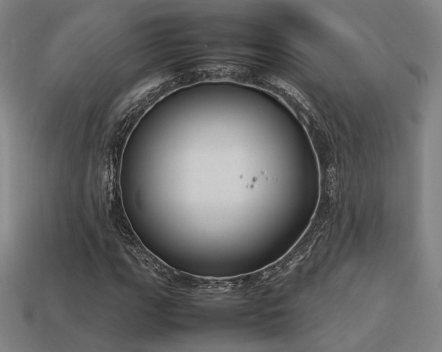 X0000113931111200909251213
