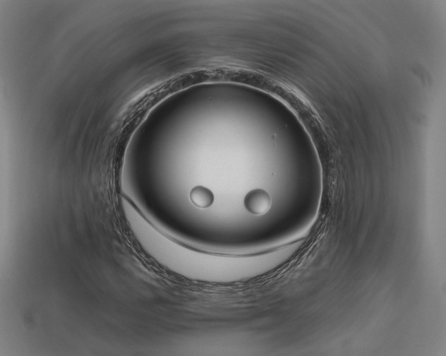 X0000113931112200909251213