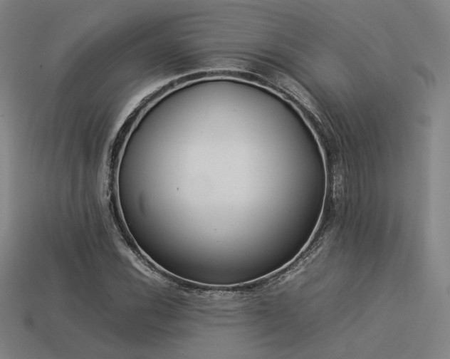 X0000113931116200909251213