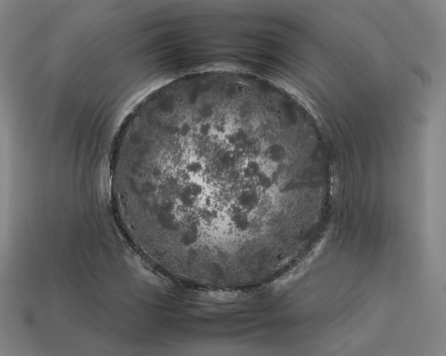 X0000113931117200909251213