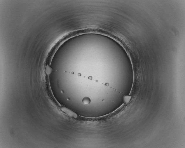 X0000113931118200909251213