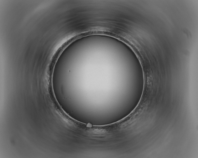 X0000113931119200909251213