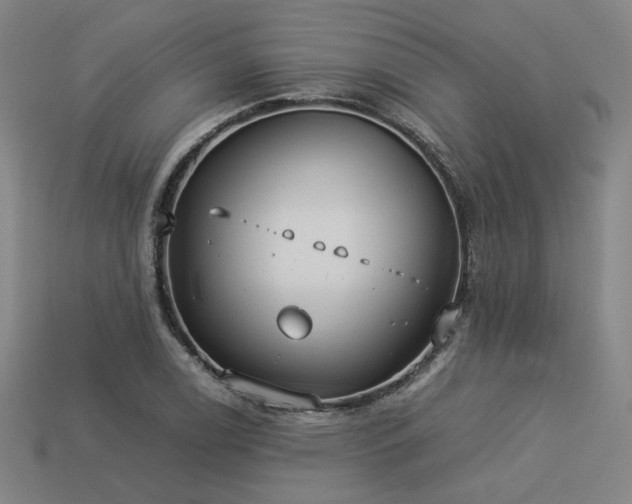 X0000113931122200909251214
