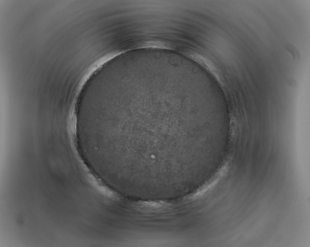 X0000113931125200909251214