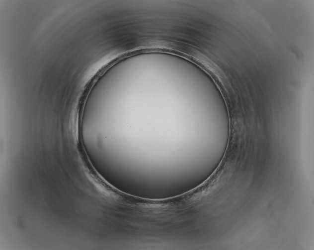 X0000113931127200909251214