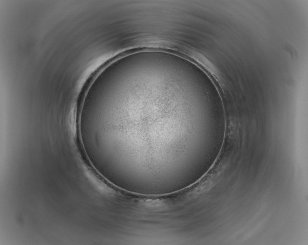 X0000113931128200909251214