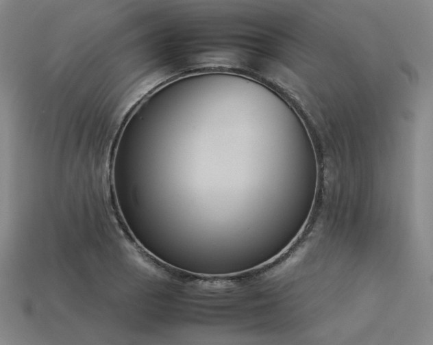 X0000113931129200909251214