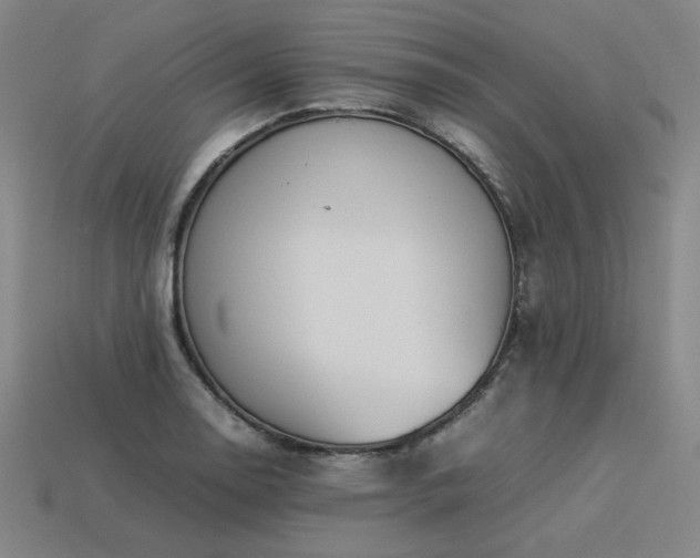 X0000113931130200909251214