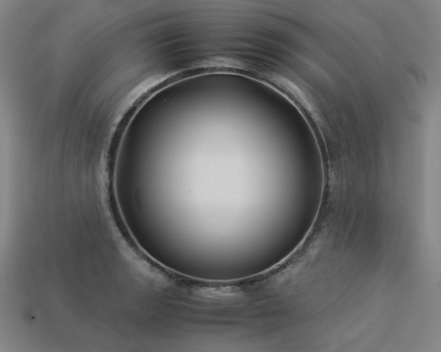 X0000113931133200909251214