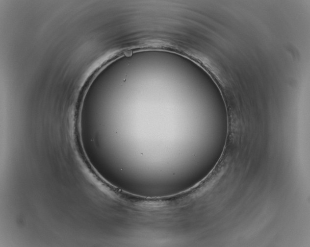 X0000113931134200909251214