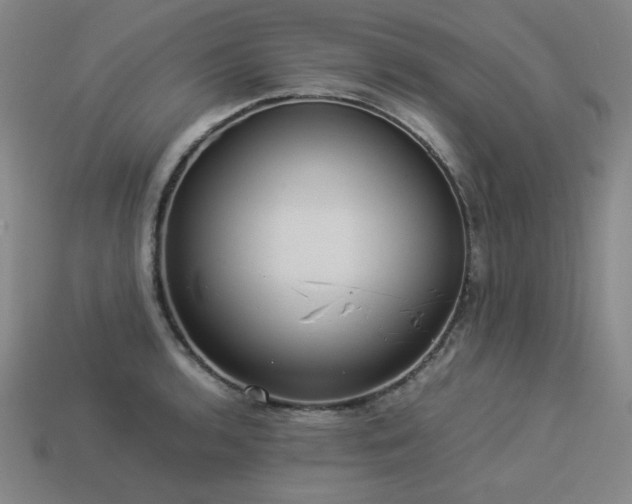 X0000113931136200909251214