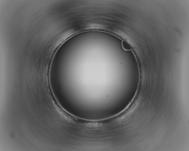 X0000113931137200909251214