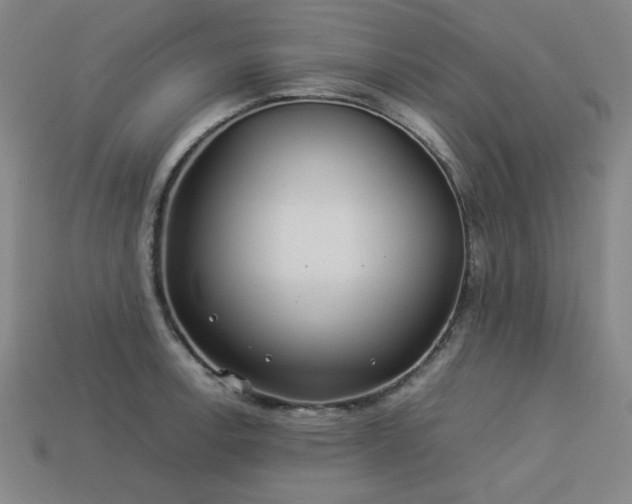 X0000113931138200909251214